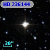 HD 236144