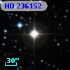 HD 236152