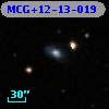 MCG+12-13-019