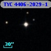 TYC 4406-2029-1