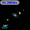 SN 2005bx