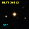 NLTT 36313