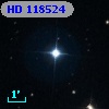 HD 118524