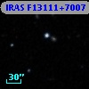 IRAS F13111+7007