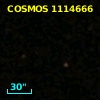 COSMOS J100259.68+015920.3