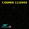 COSMOS J100258.22+015835.4