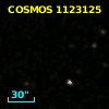 COSMOS J100219.25+020646.5