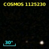 COSMOS J100251.37+020616.2