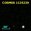 COSMOS J100250.55+020615.5