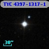 TYC 4397-1317-1