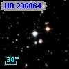 HD 236084