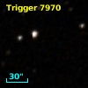 Trigger  7970