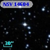 NSV 14604
