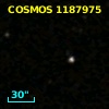 COSMOS J100145.89+015956.5