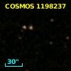 COSMOS J100116.93+020712.7