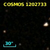 COSMOS 1202733