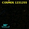 COSMOS J100114.97+015827.6