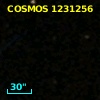 COSMOS J100115.16+015827.0