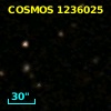 COSMOS J100041.88+020709.8