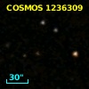 COSMOS J100035.66+020705.3