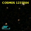 COSMOS J100050.48+020647.8