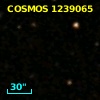 COSMOS J100034.97+020622.7