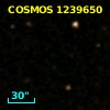COSMOS J100034.37+020619.2