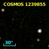 COSMOS J100029.35+020617.4