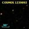 COSMOS J100049.24+020613.0