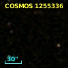 COSMOS J100029.46+020222.3