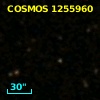 COSMOS J100041.21+020213.0