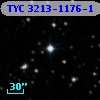 TYC 3213-1176-1