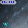 PSK 239