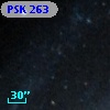 PSK 263