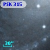 PSK 315