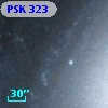 PSK 323