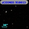 zCOSMOS 950013
