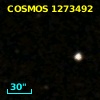 COSMOS J100049.43+015750.5