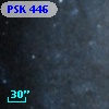 PSK 446