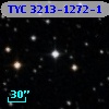 TYC 3213-1272-1