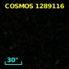 COSMOS J095936.33+020344.2