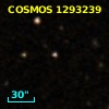 2MASS J10000929+0202330