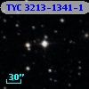 TYC 3213-1341-1