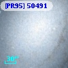 [PR95] 50491