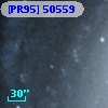 [PR95] 50559