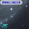 [PR95] 50229