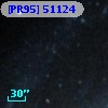 [PR95] 51124