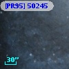 [PR95] 50245