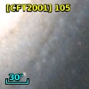 [CFT2001] 105