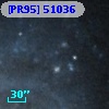 [PR95] 51036
